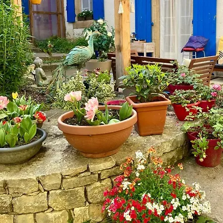 Guest house La Vie En Roses 3*