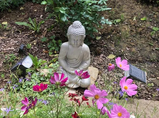 Pensión La Vie En Roses Rennes-les-Bains